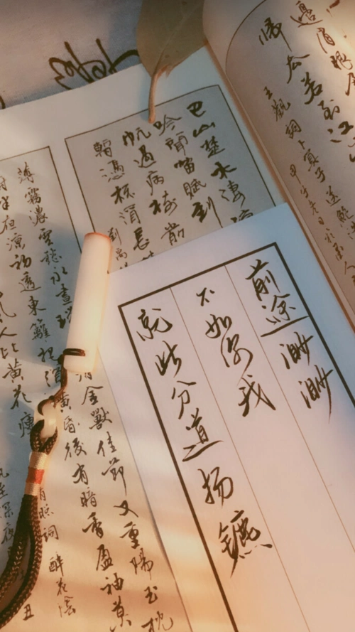 手写- 堆糖,美图壁纸兴趣社区