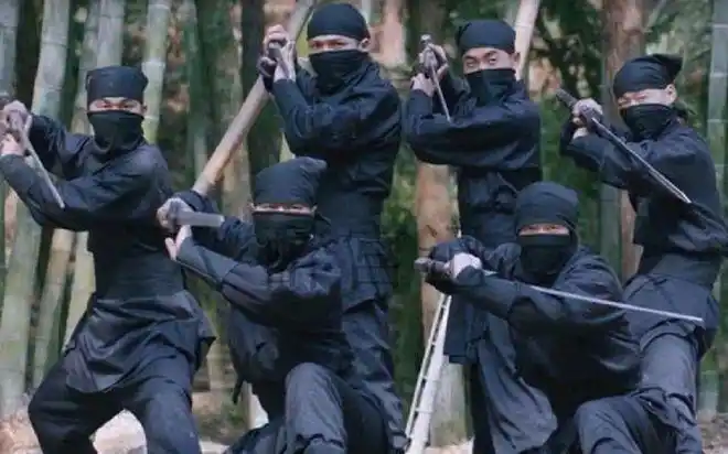 黑衣人没想到大内侍卫会有这么高的身手,时间紧迫他们不再与侍卫纠缠