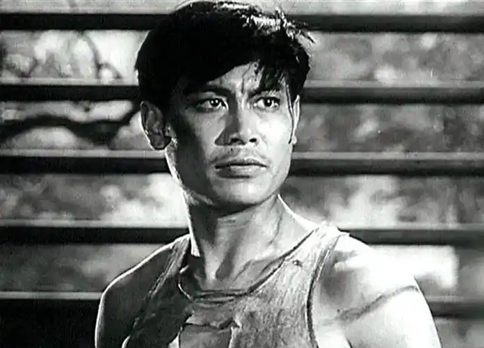 方勇,少剑波饰演者张勇手向你拜年,温暖每一颗心_祝福_电影_英雄虎胆