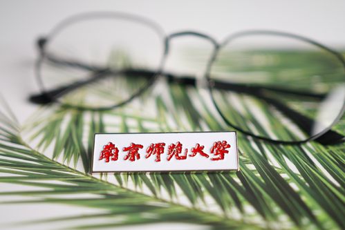 南京师范大学校徽 南师大校徽 南京师范大学徽章南京师范大学纪念