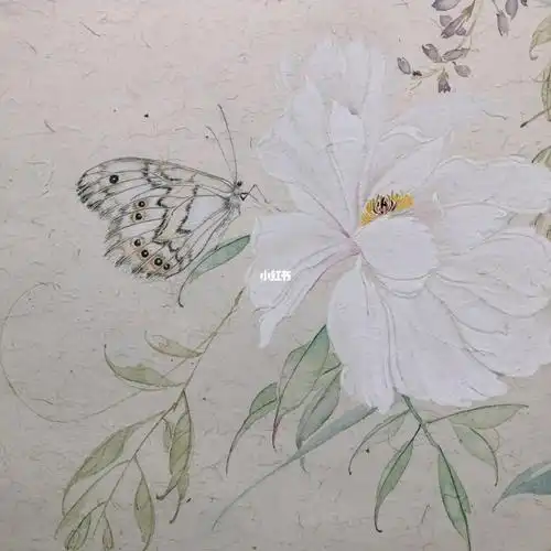 国画没骨蝴蝶步骤图