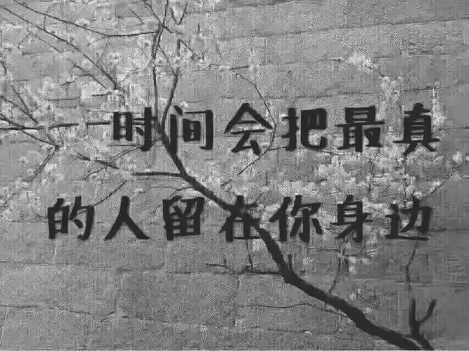 孰是孰非(孰是孰非的孰字是什么意思)