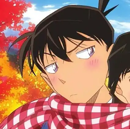 柯南情头,柯南情头 情侣(名侦探柯南情侣头像图片)