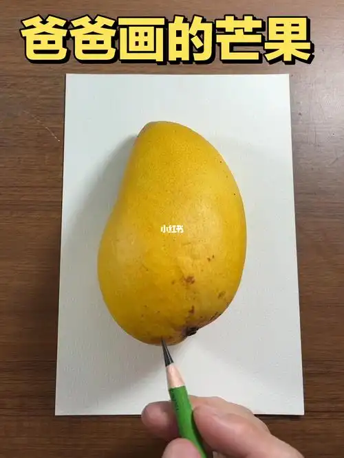 爸爸画的芒果