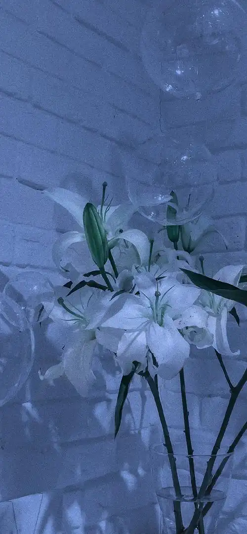 1024_2216竖版 竖屏