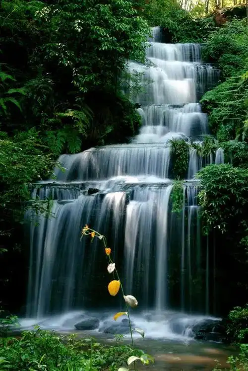 纳凉赏景宜宾竟藏着20的人间仙境