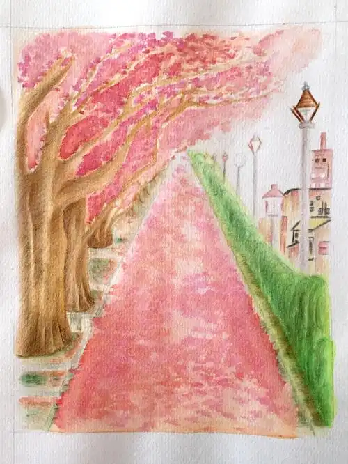 学手绘来年春天我们去赏樱花可好