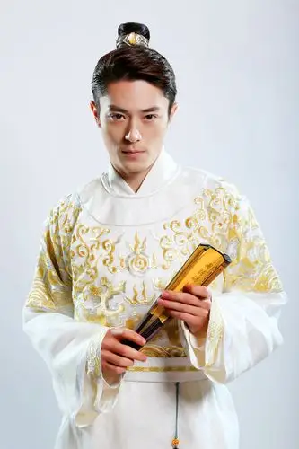 霍建华金玉良缘人物海报图片