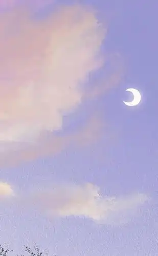 2021最火的淡雅简约风背景图