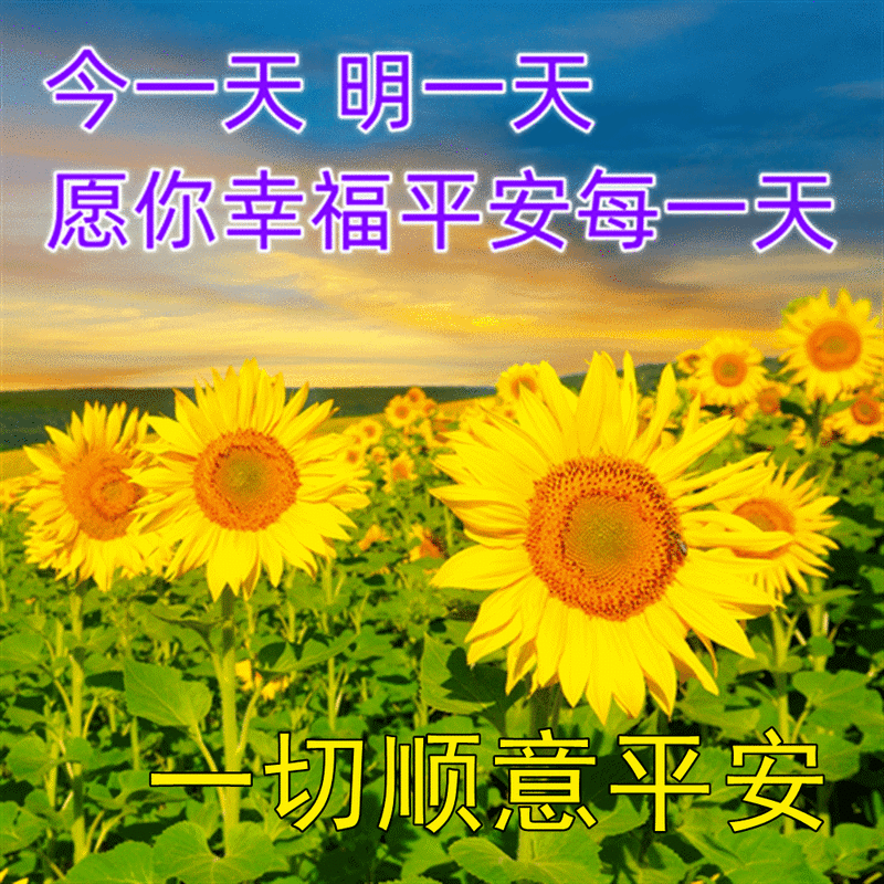 一个真诚的人,走到哪里都会有人喜欢