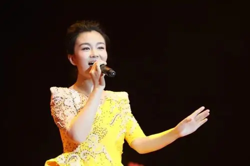 新锐歌手,中国优秀女中音歌手,丝博会唯一签约歌手,陕西公益好青年