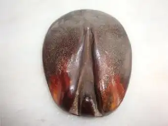 犀牛角-最新出价