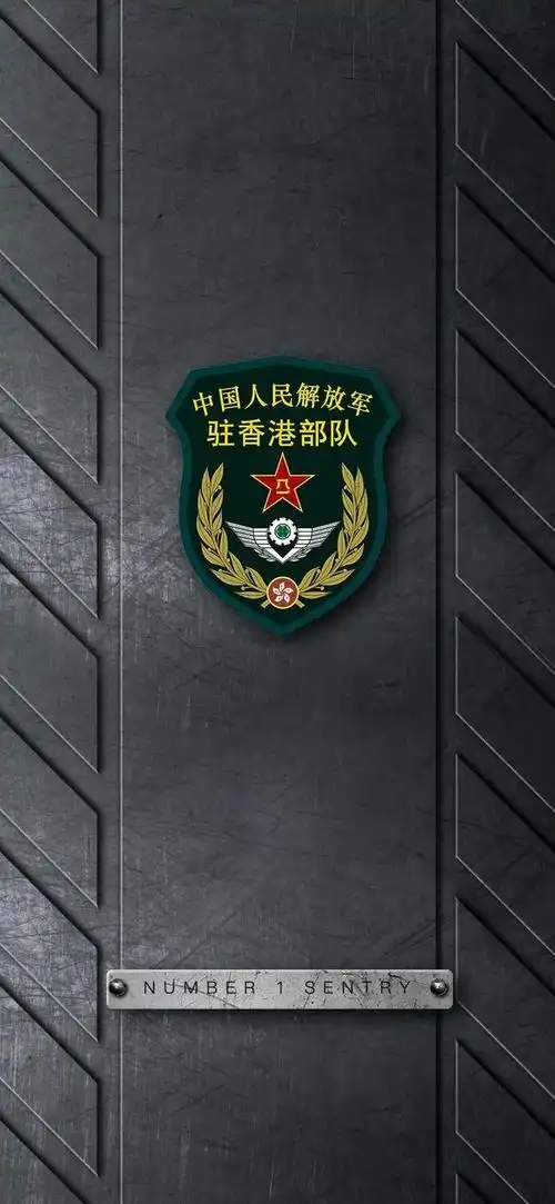 军人臂章专属壁纸第③弹军委直属院校及驻港澳部队