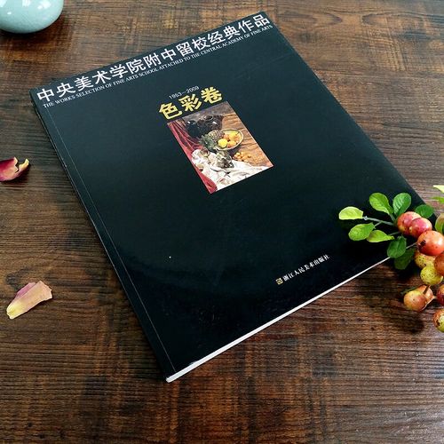 色彩卷 中央美术学院附中留校经典作品 央美附中色彩全集临摹大范本