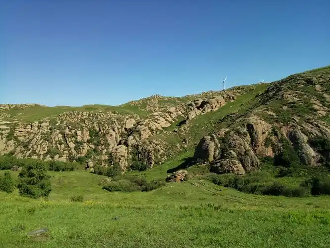 内蒙古(鄂尔多斯沙漠草原-乌兰察布市辉腾锡勒草甸草原)五 2018年7月