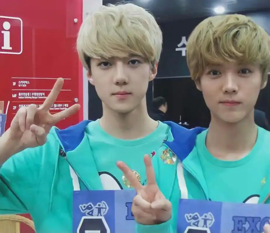 晚安#分享照片 #勋鹿 #吴世勋 #鹿晗 #exo - 抖音