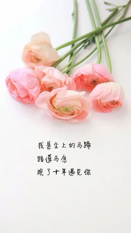 清新唯美文字图片手机壁纸