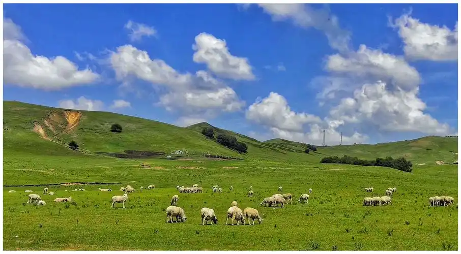 张北草原天路,乌兰布统风光