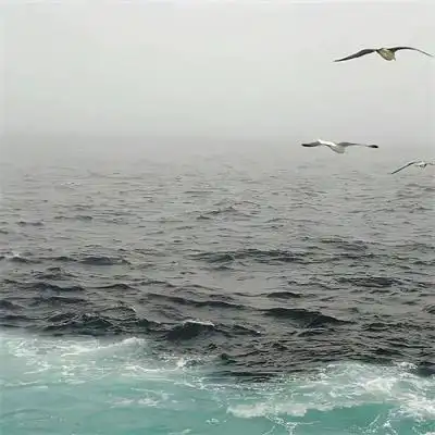 唯美治愈高级大自然风景头像图片 治愈系很有意境的图片头像2022