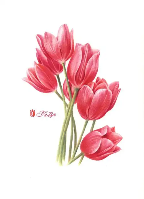 《一些彩铅装饰画》