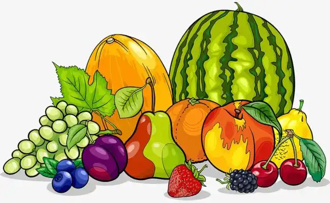 各种水果手绘图片