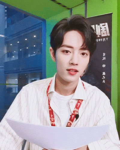 肖战动态壁纸爱了爱了