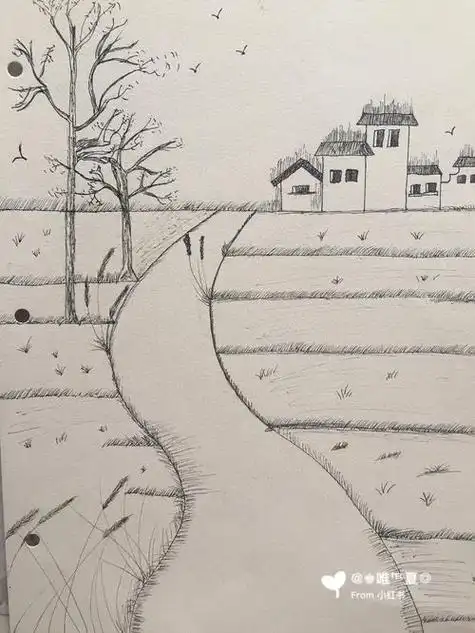 乡间小路简笔画