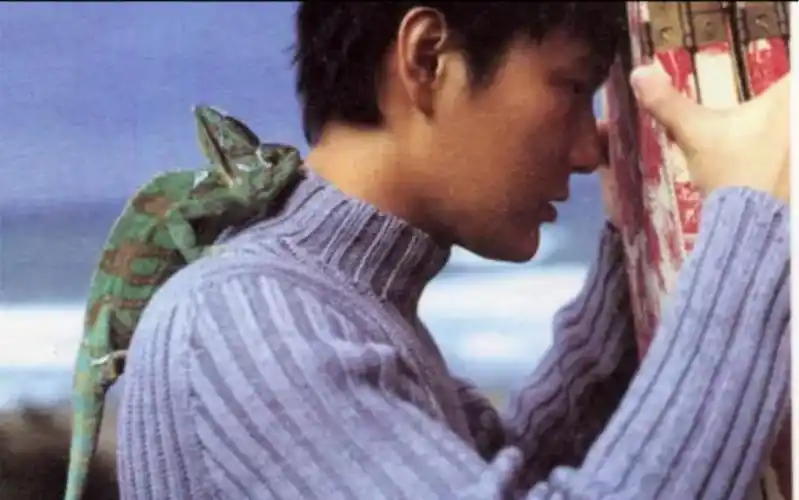 大叔我来翻唱个张信哲的《绝不能失去你》