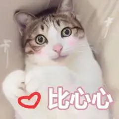 喵喵比心表情包1