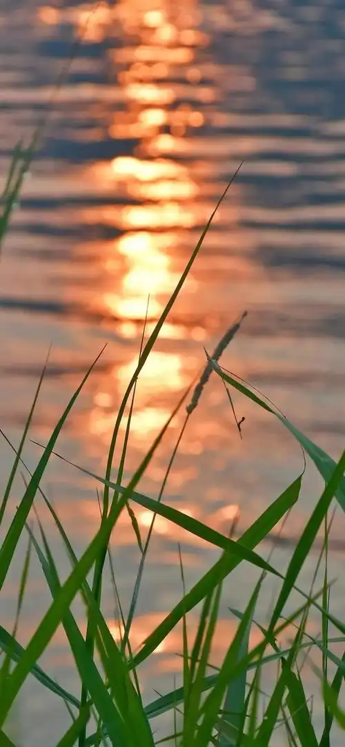 vol 155 精选高清手机壁纸/全屏锁屏壁纸