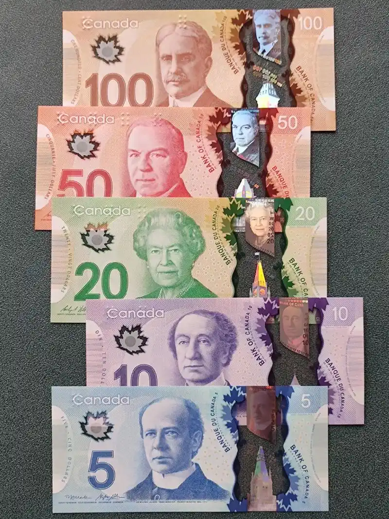 🇨🇦加拿大 塑料钞.加拿大元(canadian doll - 抖音