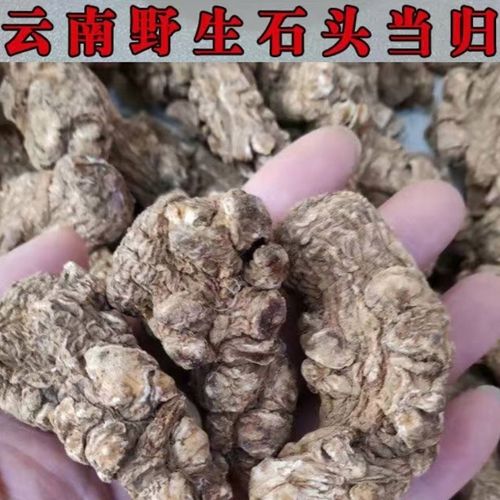野生当归头原色野当归当归头一斤石头云南干货无硫当归头整个