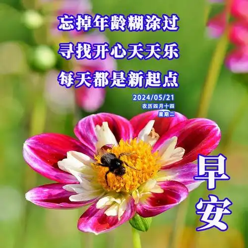 5月21日早安图片,新鲜推出的早安祝福语图片大全