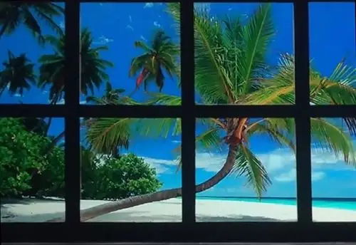 投影仪假窗户挑战怎么做才更好看投影仪假窗户挑战攻略