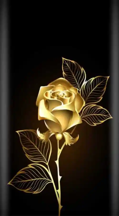 给你们做曲屏效果的壁纸