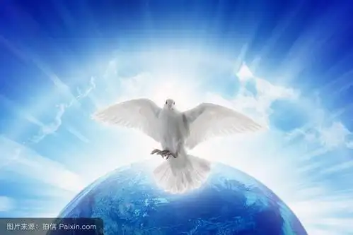 基督教背景图片大全 基督教唯美图片高清