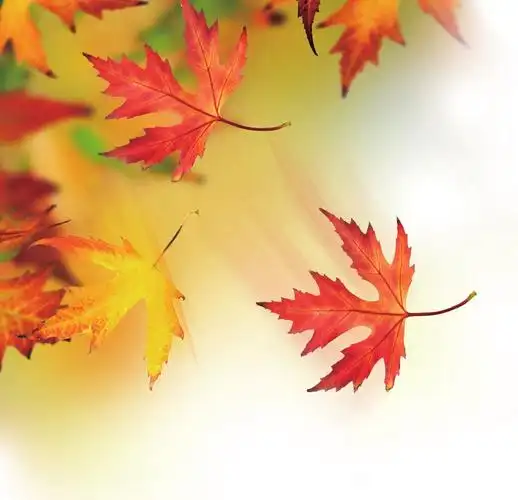 期次:第5期   作者:文/项文君暮秋梦远2018-10