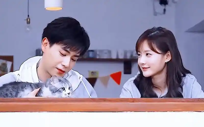 李一桐x胡一天 心跳的证明