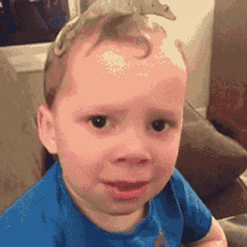 然后大                    , 就发现这孩子简直是为表情包而生的啊!