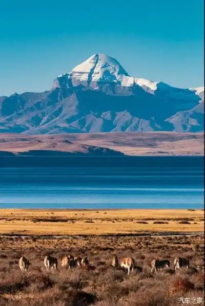 中国最美的无人区 阿里