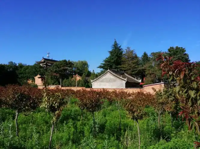 寻找杨凌最美乡村,真的很美