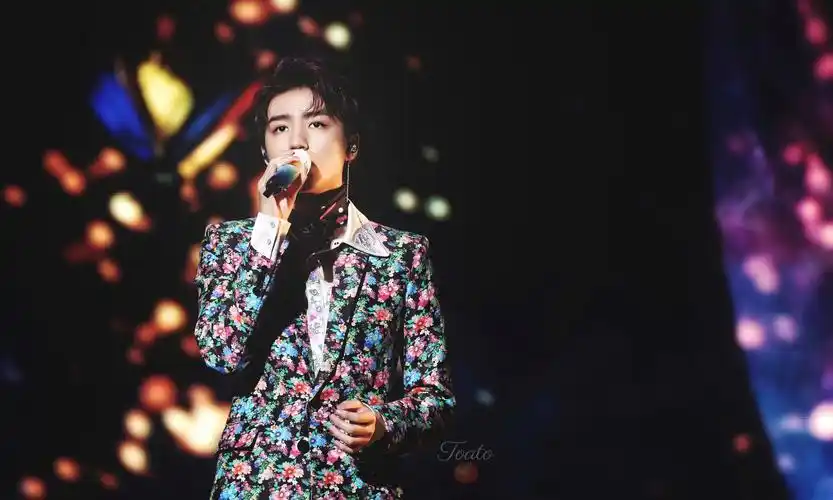 王俊凯 无边界演唱会