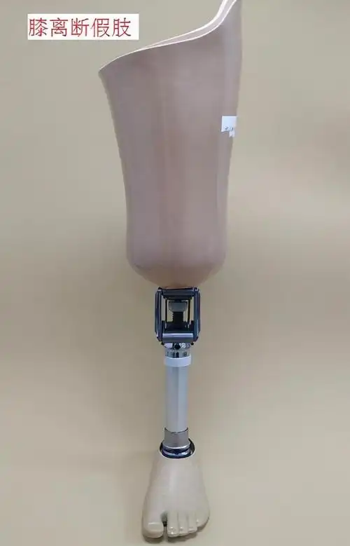 大腿假肢(下肢截肢的类型及适用的假肢) - 好技术常识经验网