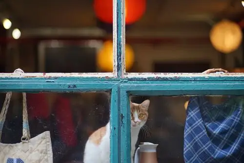 【图片12】街拍,只为记录真实的生活!--蜂鸟论坛照片套图