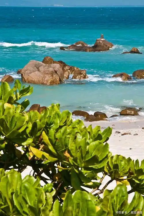 三亚风景踏浪中,海滩美景椰树红啤酒烧烤小龙虾,美味佳肴幸福梦