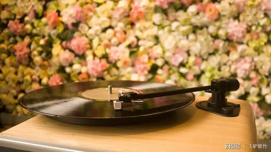 装的有摸有样,小资音箱——hym seed黑胶唱片机体验