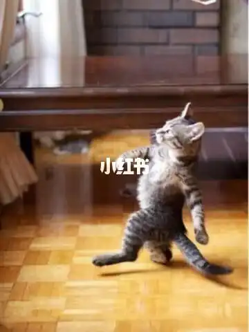 走出了六亲不认的步伐