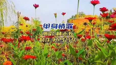 林志炫怀旧经典歌曲《单身情歌》,唱出了多少单身男女的心声