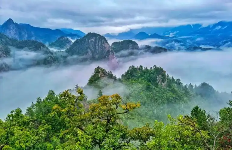 end老界岭景区位于河南省南阳市西峡县境内,是伏牛山世界地质公园的