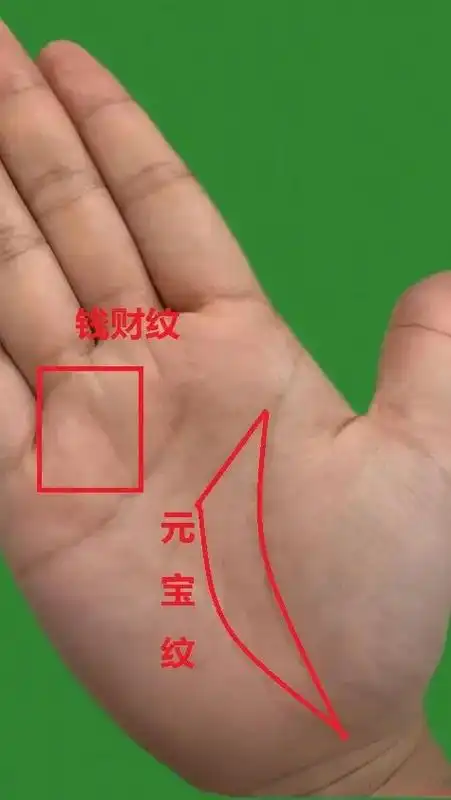 手上看这个元宝纹再加上这个钱财纹,而且掌 - 抖音
